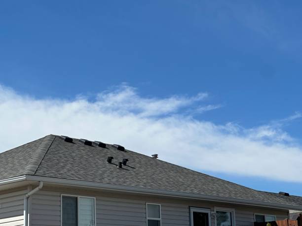 Best Roof Insulation Installation  in Bullard, TX